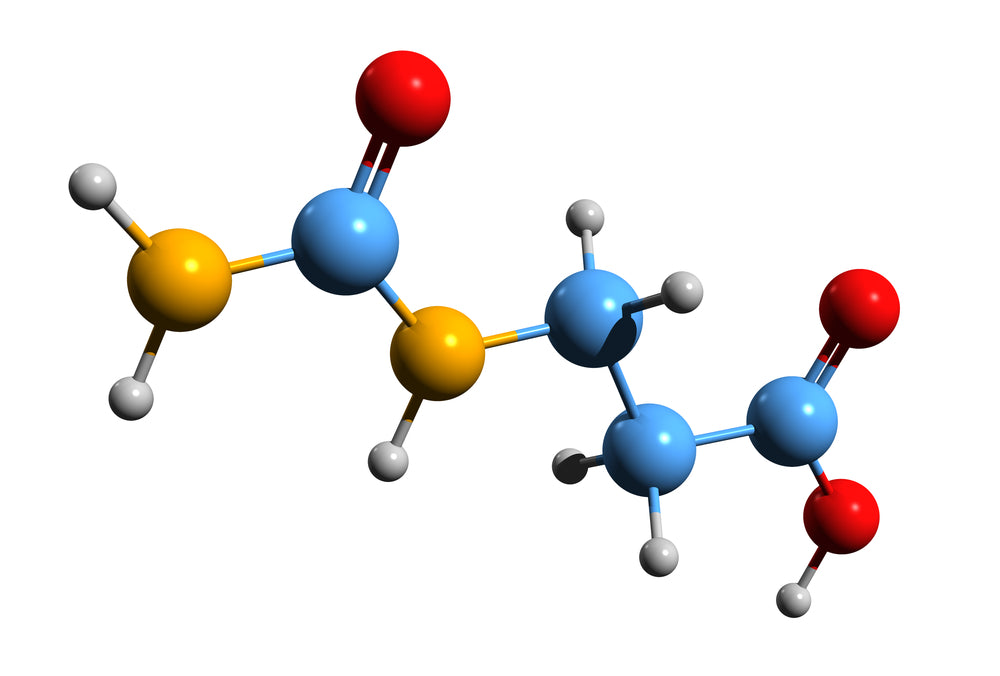 Beta Alanine & Beta Red